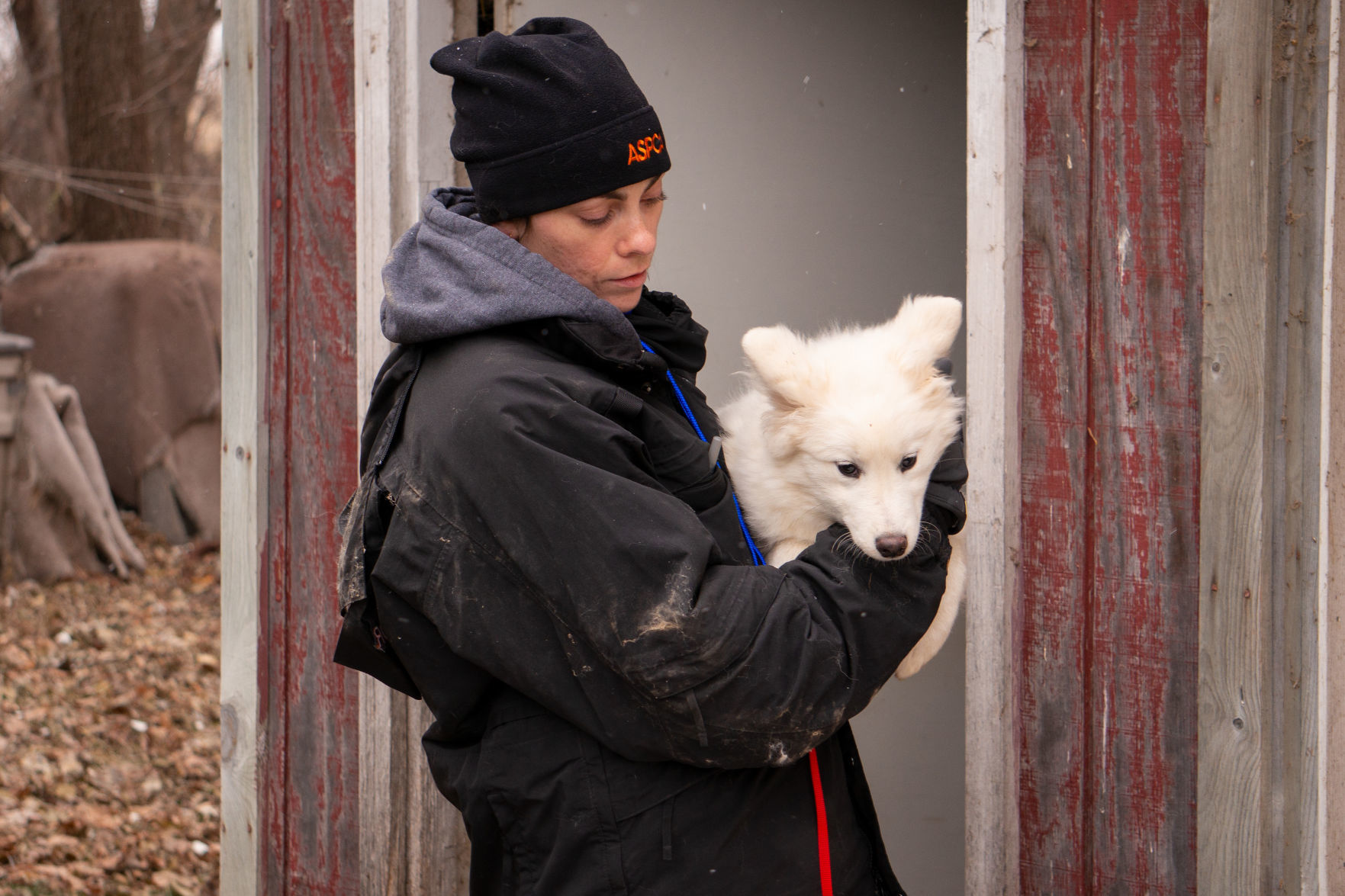 FIR_PuppyMill_WorthCo_IA_Nov1218_0195.JPG